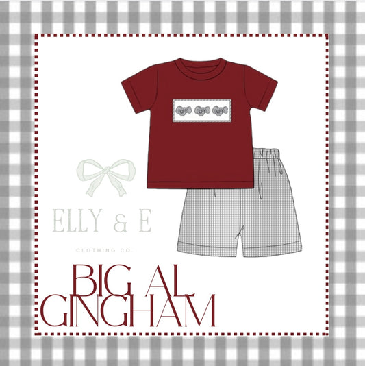 Big AL Boys Short Set